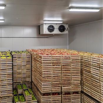 Fruits & Vegetables Cold Rooms